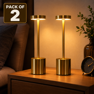 Long Neck Metal Touch Sense LED Lamp – Modern Minimalist Design, Rechargeable.