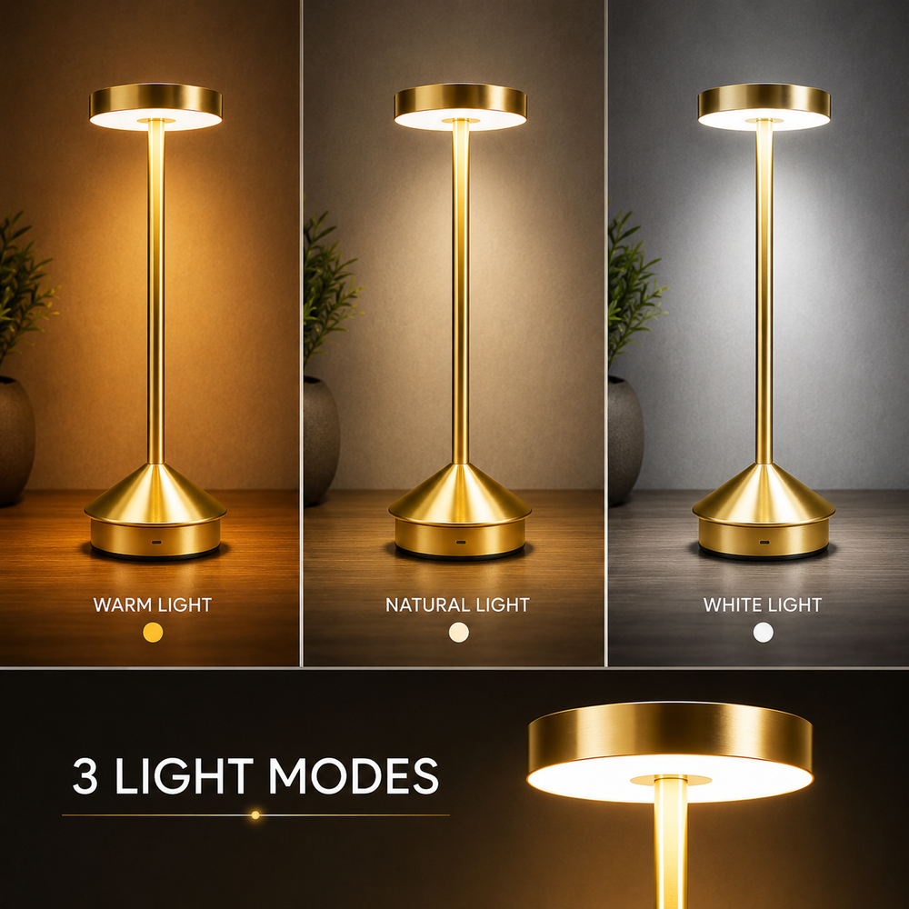 Nimbus Longneck Minimal Design LED Touch Table Lamp – Rechargeable Ambient Light