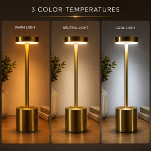 Long Neck Metal Touch Sense LED Lamp – Modern Minimalist Design, Rechargeable.