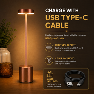 Long Neck Metal Touch Sense LED Lamp – Modern Minimalist Design, Rechargeable.